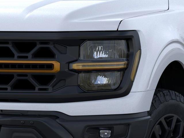 2025 Ford F-150 Vehicle Photo in Weatherford, TX 76087