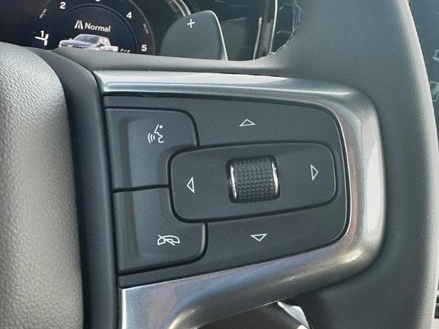 2025 Chevrolet Silverado 1500 Vehicle Photo in COLUMBIA, MO 65203-3903