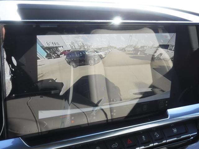 2025 Chevrolet Silverado 1500 Vehicle Photo in JASPER, GA 30143-8655