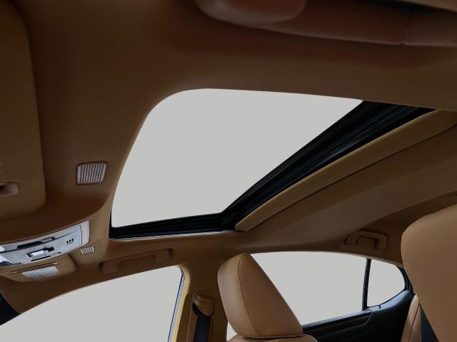 2025 Lexus ES 300h Vehicle Photo in Appleton, WI 54913