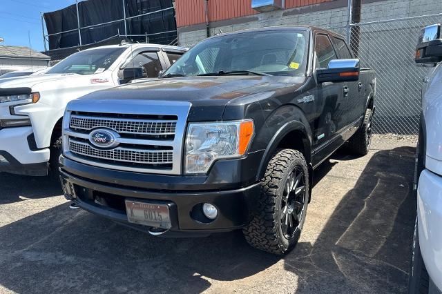 2012 Ford F-150 Vehicle Photo in SPOKANE, WA 99202-2191