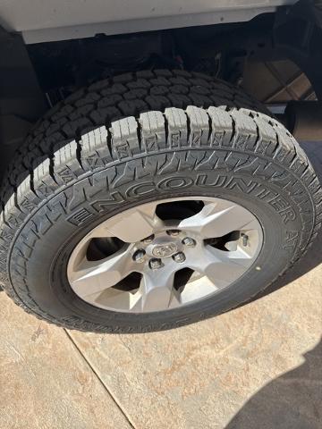 2023 Ram 1500 Vehicle Photo in Winslow, AZ 86047-2439