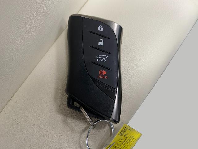 2024 Lexus NX 250 Vehicle Photo in Appleton, WI 54913