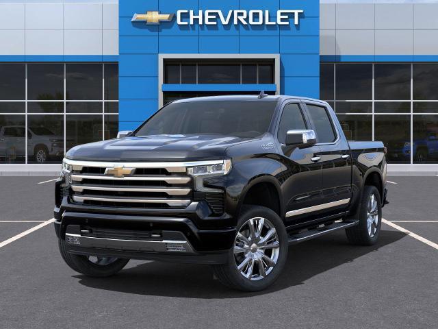 2025 Chevrolet Silverado 1500 Vehicle Photo in HOUSTON, TX 77034-5009