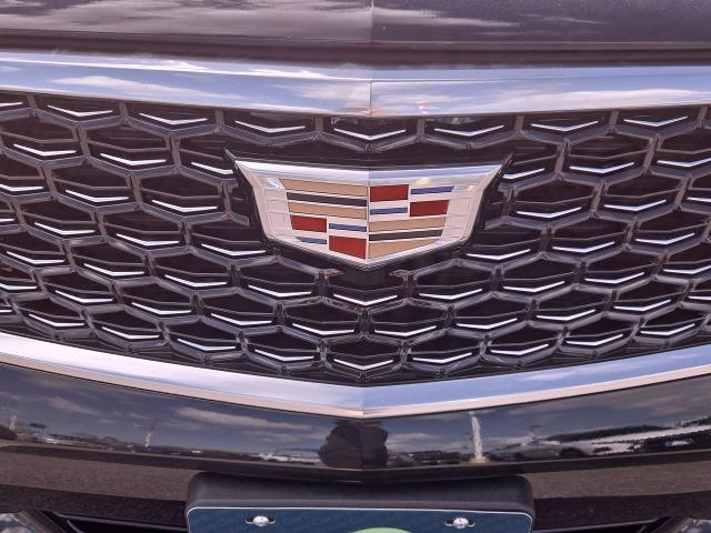 2024 Cadillac XT4 Vehicle Photo in NEDERLAND, TX 77627-8017