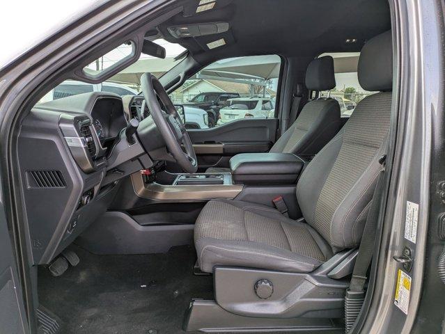2023 Ford F-150 Vehicle Photo in SELMA, TX 78154-1460