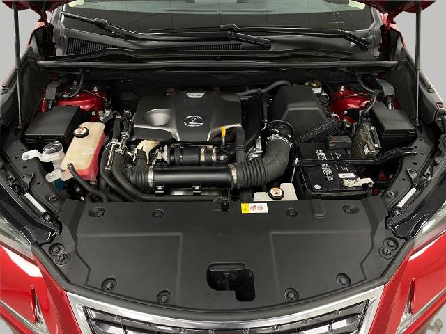 2019 Lexus NX 300 Vehicle Photo in Appleton, WI 54913