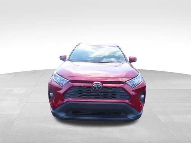 2019 Toyota RAV4 Vehicle Photo in DELRAY BEACH, FL 33483-3294