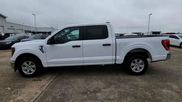 2023 Ford F-150 Vehicle Photo in HOUSTON, TX 77054-4802