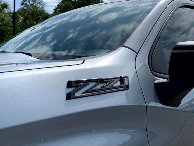 2025 Chevrolet Silverado 1500 Vehicle Photo in BEAUFORT, SC 29906-4218