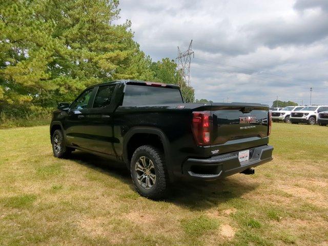 2024 GMC Sierra 1500 Vehicle Photo in ALBERTVILLE, AL 35950-0246