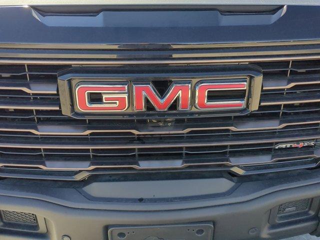 2025 GMC Sierra 1500 Vehicle Photo in ALBERTVILLE, AL 35950-0246