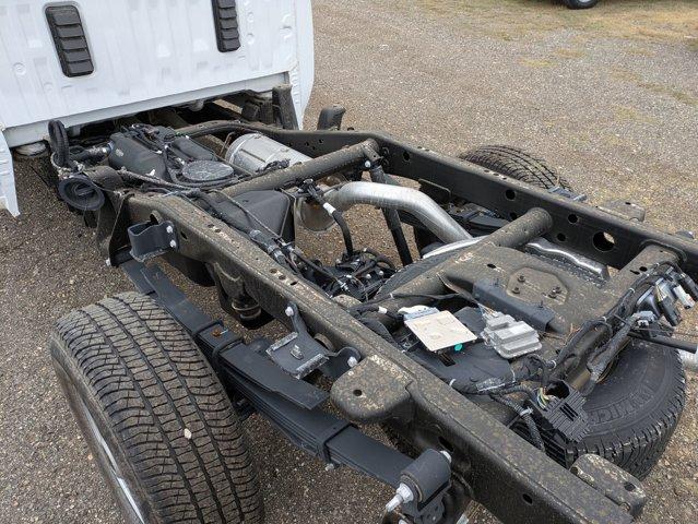 2024 Chevrolet Silverado 3500 HD Vehicle Photo in SELMA, TX 78154-1460