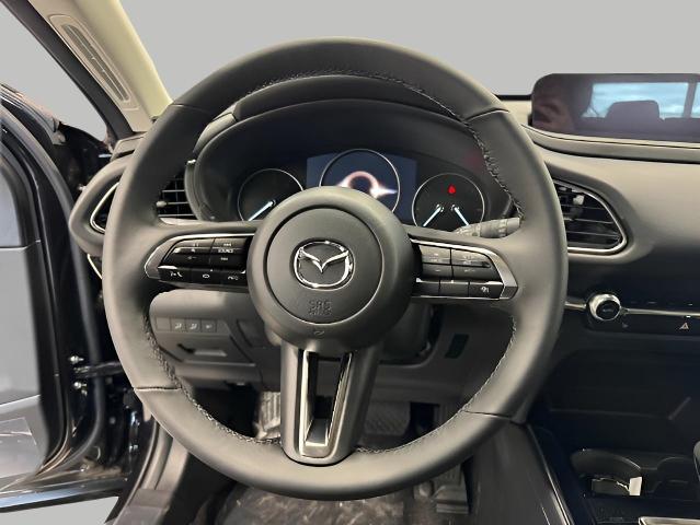 2025 Mazda CX-30 Vehicle Photo in Green Bay, WI 54304