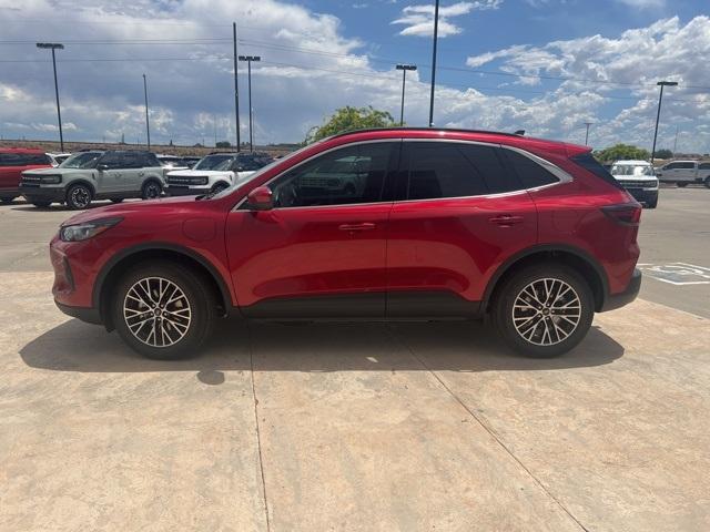 2024 Ford Escape Vehicle Photo in Winslow, AZ 86047-2439