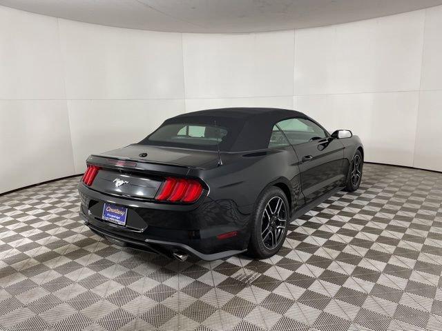 2022 Ford Mustang Vehicle Photo in PHOENIX, AZ 85014-3381