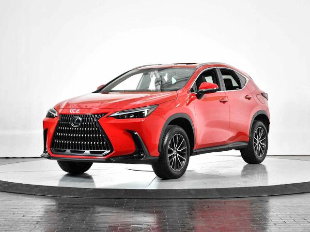 2024 Lexus NX 250 Vehicle Photo in DALLAS, TX 75235