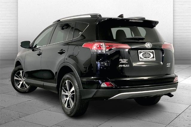 2017 Toyota RAV4 Vehicle Photo in Lees Summit, MO 64086