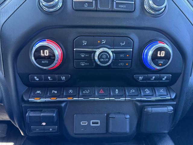 2020 GMC Sierra 1500 Vehicle Photo in Savannah, GA 31419