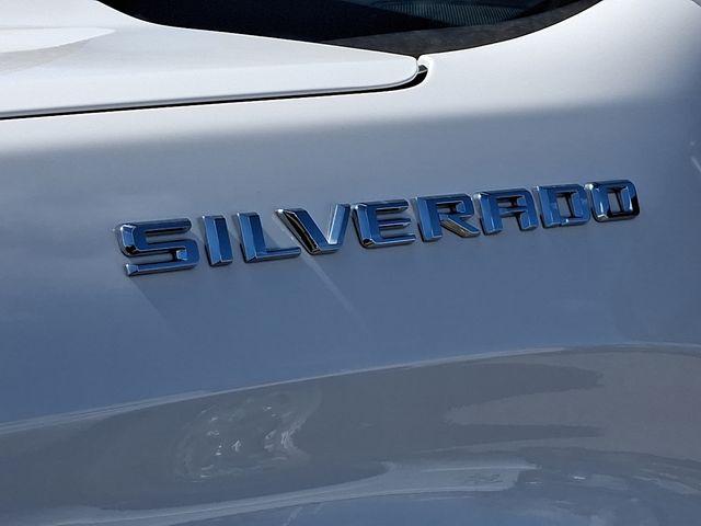 2024 Chevrolet Silverado 1500 Vehicle Photo in DANBURY, CT 06810-5034