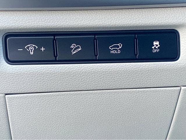2023 Kia Telluride Vehicle Photo in Hinesville, GA 31313