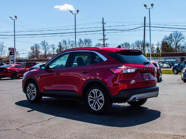 2020 Ford Escape Vehicle Photo in MADISON, IN 47250-1611