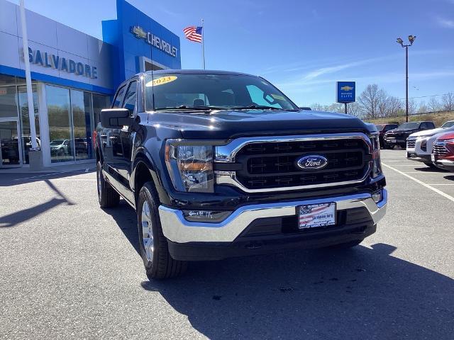 2023 Ford F-150 Vehicle Photo in Gardner, MA 01440