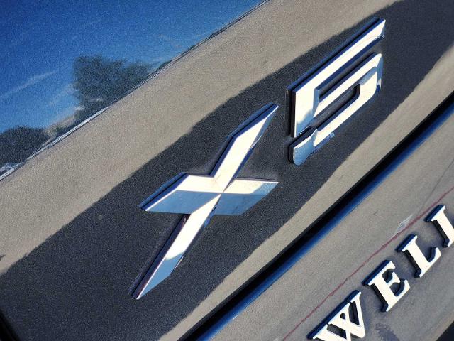 2022 BMW X5 sDrive40i Vehicle Photo in PLANO, TX 75024