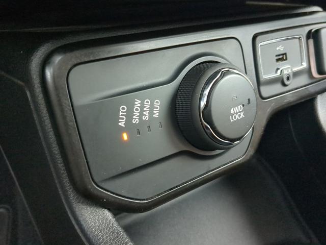 2020 Jeep Renegade Vehicle Photo in Brunswick, GA 31525
