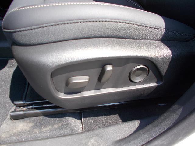 2026 GMC Terrain Vehicle Photo in LOWELL, MA 01852-4336