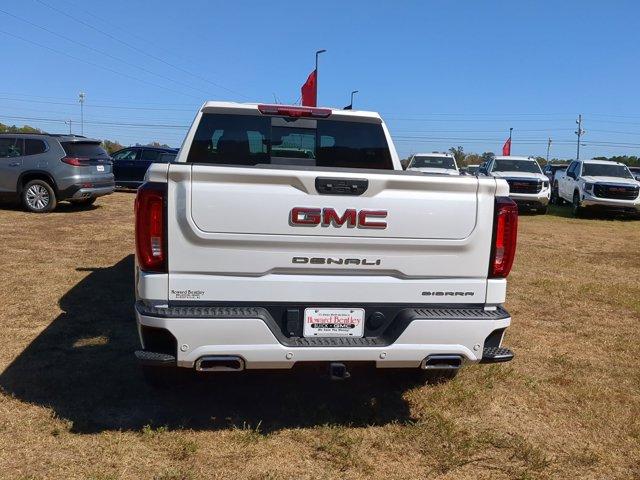 2025 GMC Sierra 1500 Vehicle Photo in ALBERTVILLE, AL 35950-0246