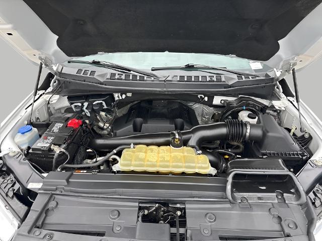 2020 Ford F-150 Vehicle Photo in MANITOWOC, WI 54220-5838