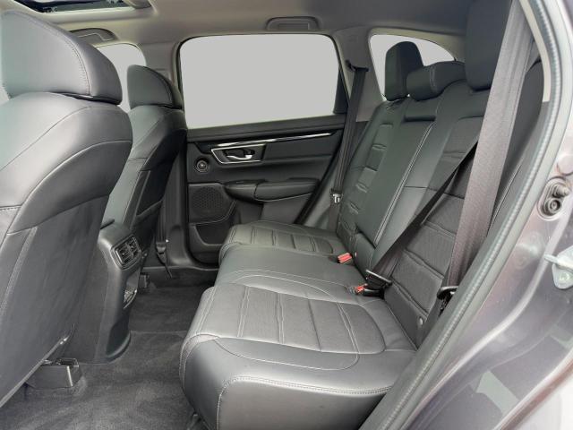 2022 Honda CR-V Vehicle Photo in Appleton, WI 54914
