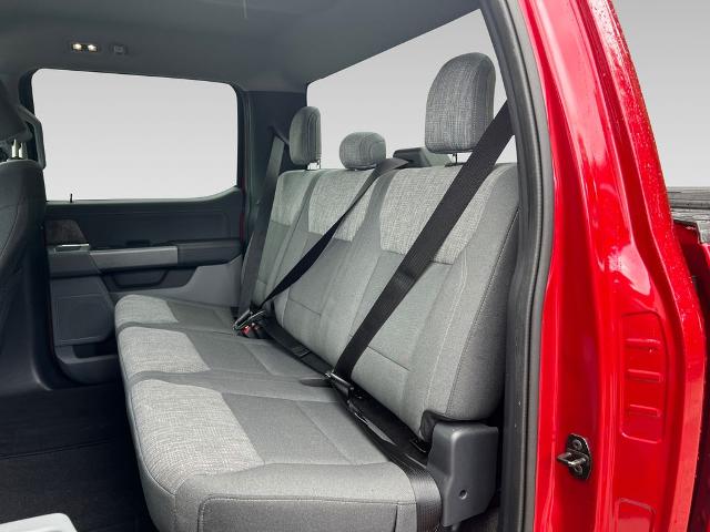 2021 Ford F-150 Vehicle Photo in Brunswick, GA 31525