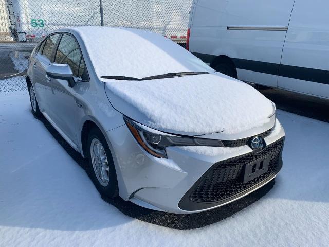 2021 Toyota Corolla Vehicle Photo in APPLETON, WI 54914-4656