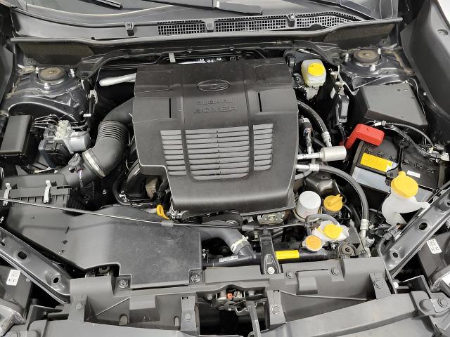2024 Subaru Forester Vehicle Photo in Green Bay, WI 54304