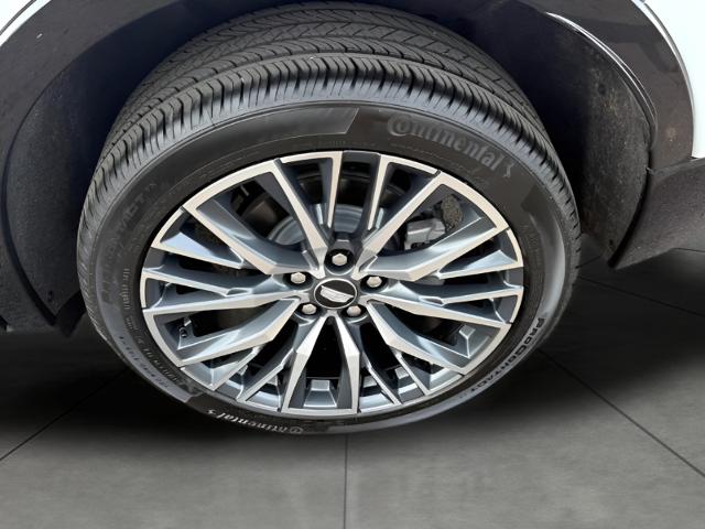 2024 Cadillac XT4 Vehicle Photo in APPLETON, WI 54914-4656