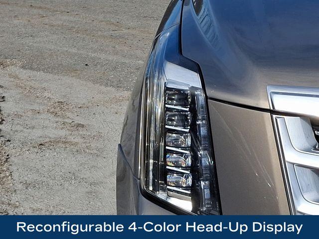 2019 Cadillac Escalade Vehicle Photo in PAWLING, NY 12564-3219