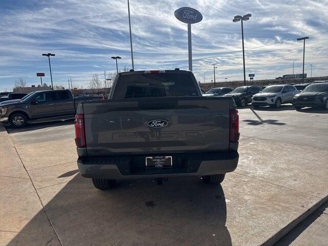 2025 Ford F-150 Vehicle Photo in Winslow, AZ 86047-2439