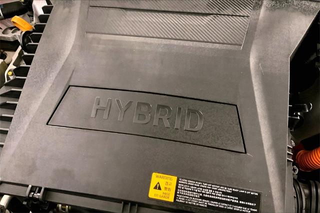 2021 Kia Niro Vehicle Photo in Lees Summit, MO 64086