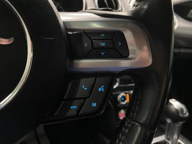 2019 Ford Mustang Vehicle Photo in Appleton, WI 54913