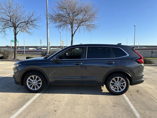 2024 Honda CR-V Vehicle Photo in San Antonio, TX 78209