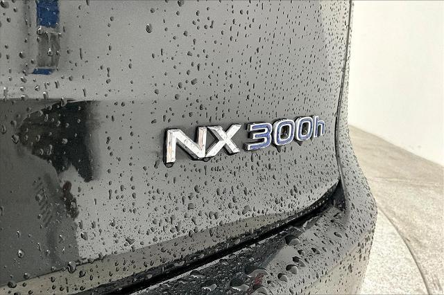 2020 Lexus NX 300h Vehicle Photo in Grapevine, TX 76051