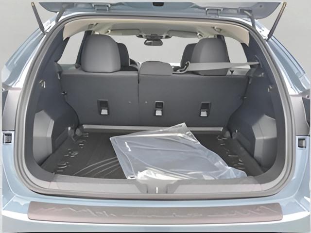 2025 Subaru Crosstrek Vehicle Photo in Green Bay, WI 54304