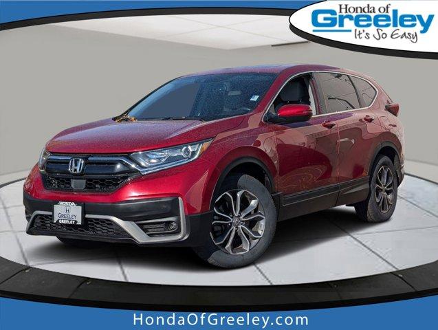 2022 Honda CR-V Vehicle Photo in Greeley, CO 80634-8763