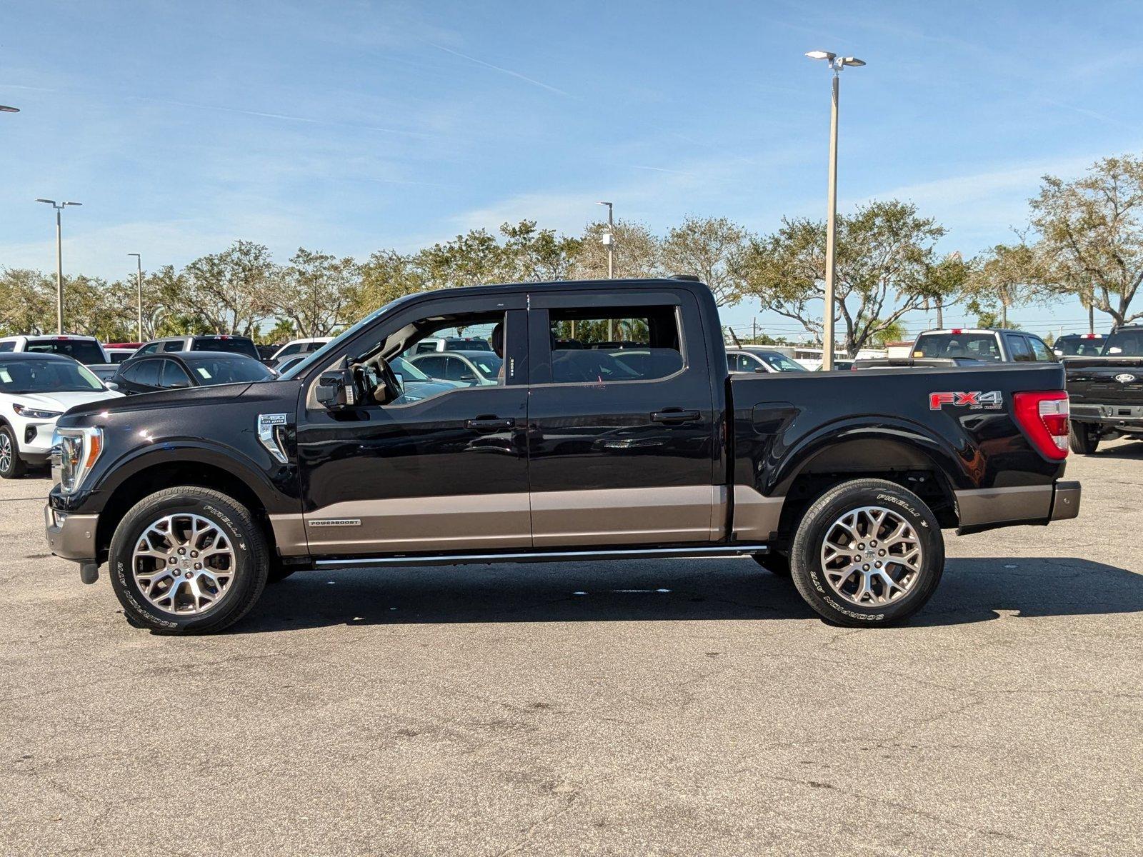 2021 Ford F-150 Vehicle Photo in St. Petersburg, FL 33713