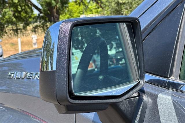 2019 Chevrolet Silverado 1500 Vehicle Photo in ELK GROVE, CA 95757-8703
