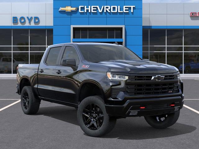2025 Chevrolet Silverado 1500 Vehicle Photo in EMPORIA, VA 23847-1235