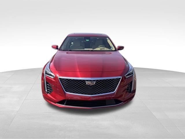 2019 Cadillac CT6 Vehicle Photo in DELRAY BEACH, FL 33483-3294