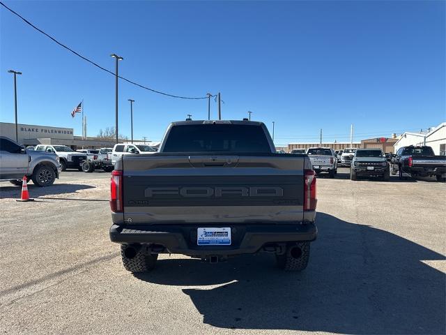 2024 Ford F-150 Vehicle Photo in EASTLAND, TX 76448-3020